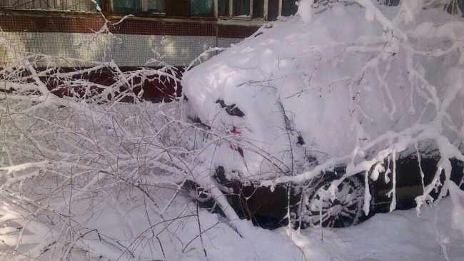 Упавшие из-за снега деревья раздавили припаркованные машины