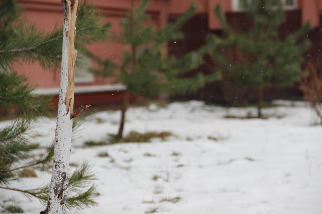 Саратовцы переживают последствия весеннего снегопада