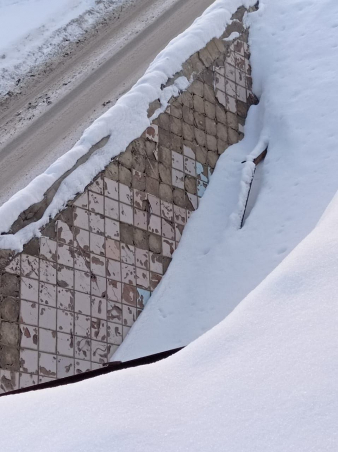 В Саратове заброшенные подземные переходы у школы стали пристанищем крыс и собак