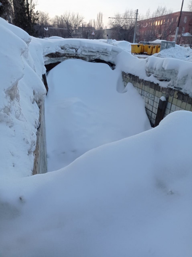 В Саратове заброшенные подземные переходы у школы стали пристанищем крыс и собак