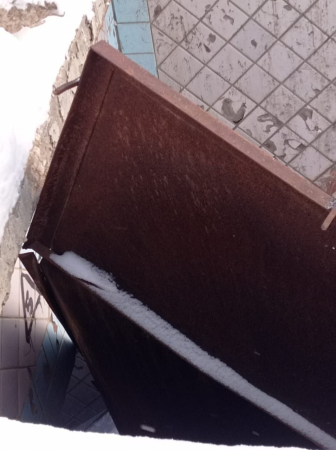 В Саратове заброшенные подземные переходы у школы стали пристанищем крыс и собак