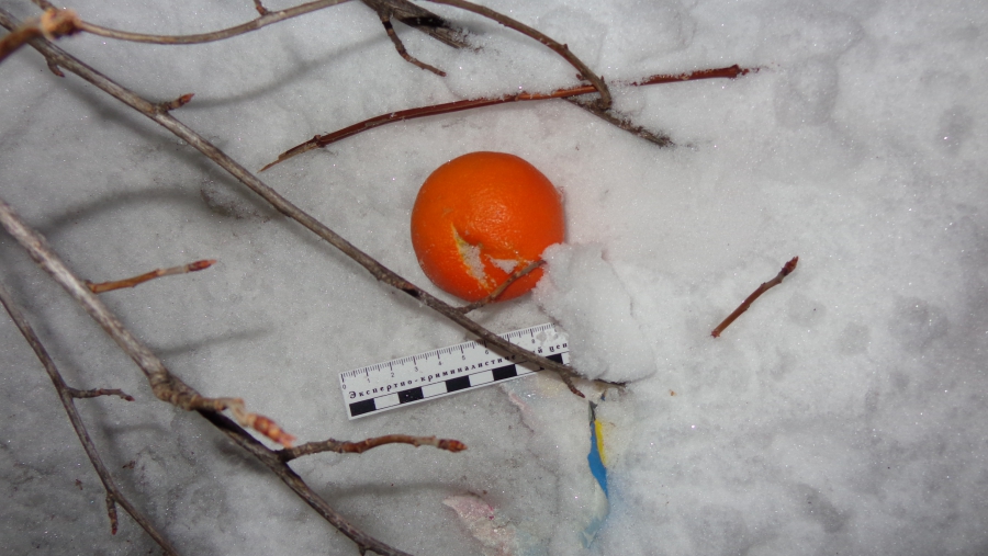 Полицейские задержали саратовца с наркотиками в мандаринах