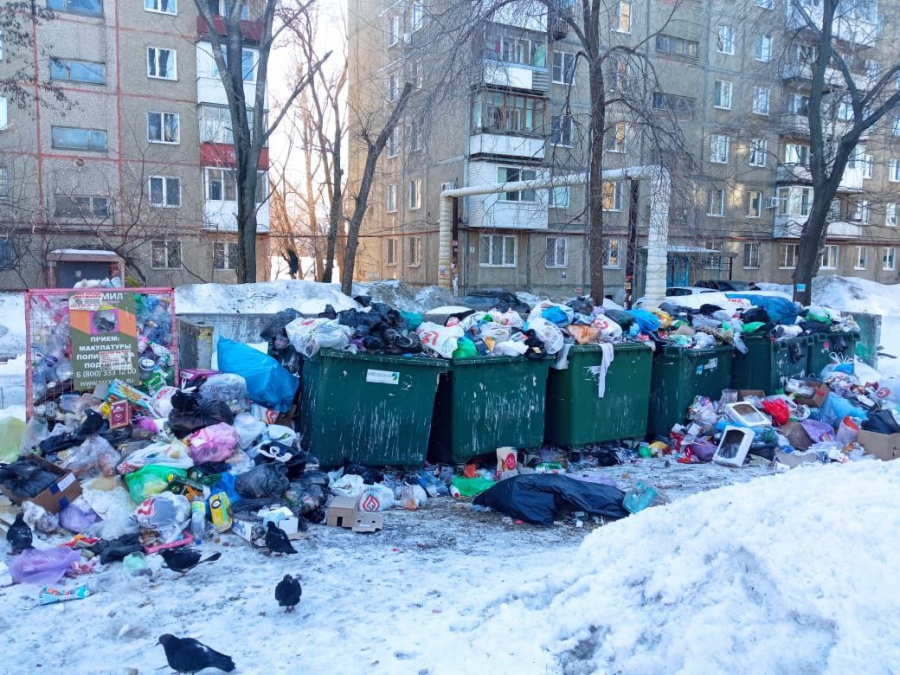 Житель: На СХИ мусор вывозят раз в 2 недели. Округа завалена, вонь