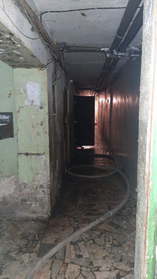 В Саратове кот Пузик спас хозяина квартиры во время пожара