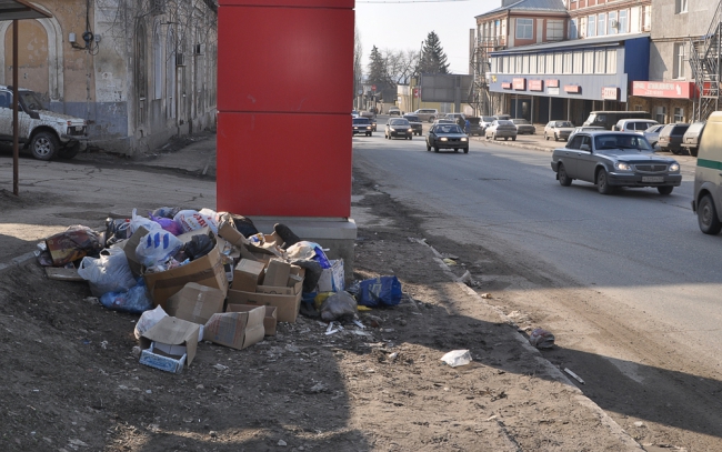 В Саратове предложили ввести режим ЧС из-за неубранного мусора