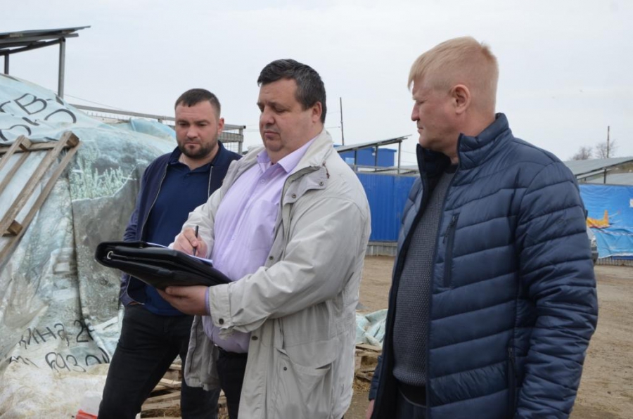 В приюте для безнадзорных животных Саратова выявили антисанитарию