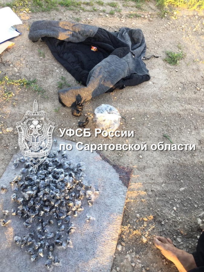 ФСБ: Саратовского участника группы сбытчиков героина приговорили к 12 годам колонии