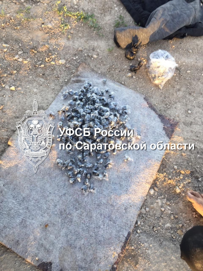 ФСБ: Саратовского участника группы сбытчиков героина приговорили к 12 годам колонии