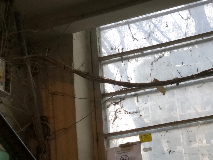 Жильцы дома на 2-м Магнитном проезде пожаловались на трещины в фасаде и разруху во дворе