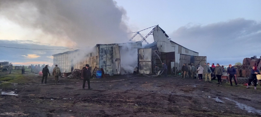 В Петровском районе сгорел ангар с автомобилем внутри