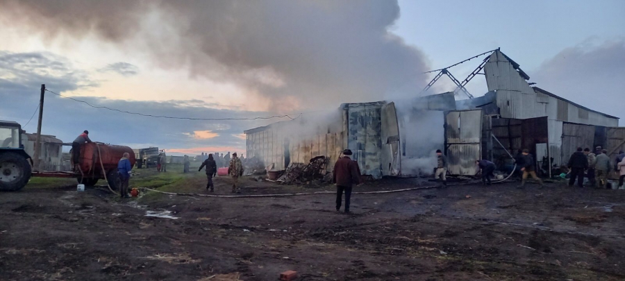 В Петровском районе сгорел ангар с автомобилем внутри
