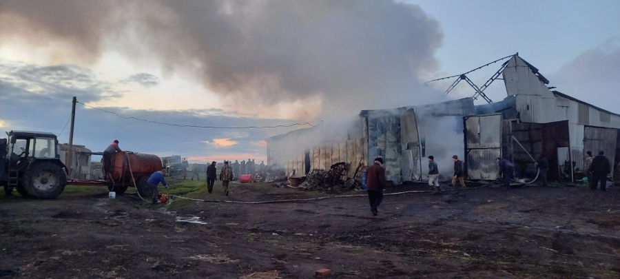 В Петровском районе сгорел ангар с автомобилем внутри