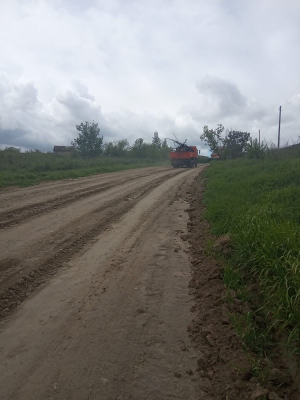 Русло Медведицы возле лысогорского села чистят от поваленных деревьев