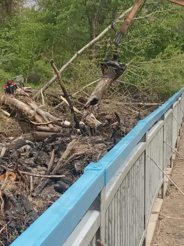 Русло Медведицы возле лысогорского села чистят от поваленных деревьев