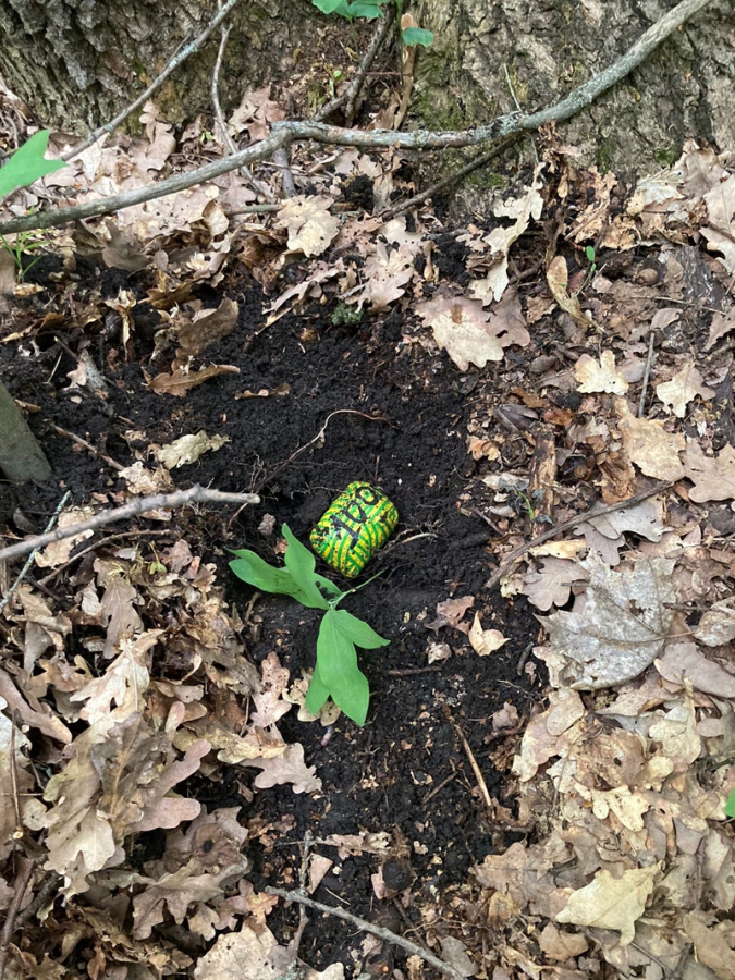 В Ртищеве полицейские поймали сбытчика синтетических наркотиков