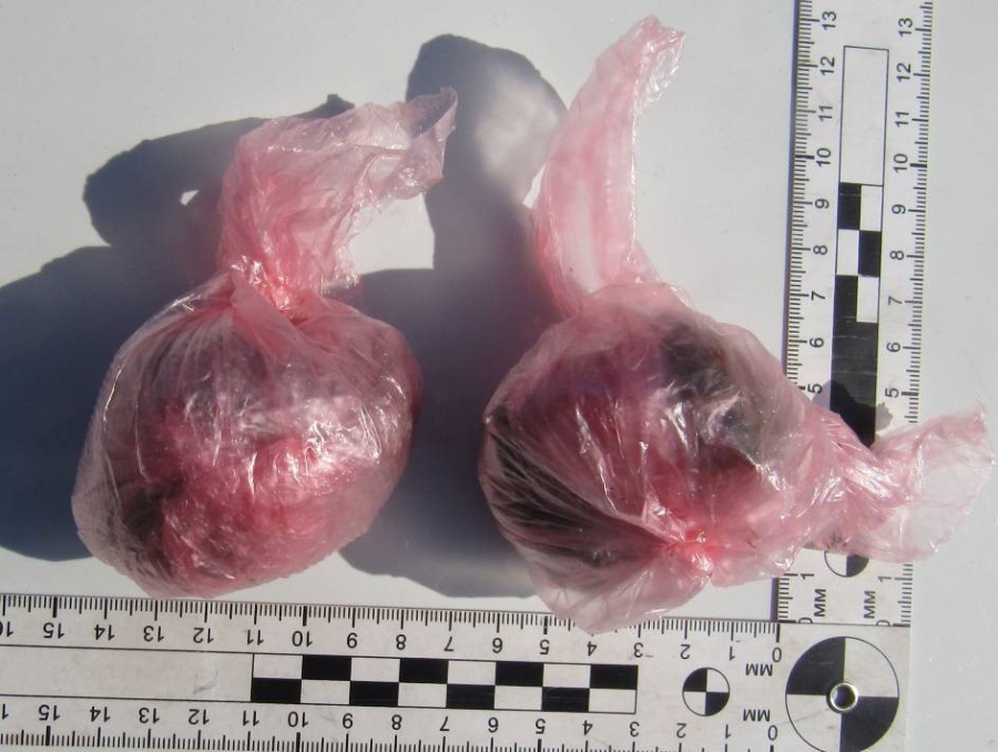 На Славянской площади полицейские поймали женщину с марихуаной в банке