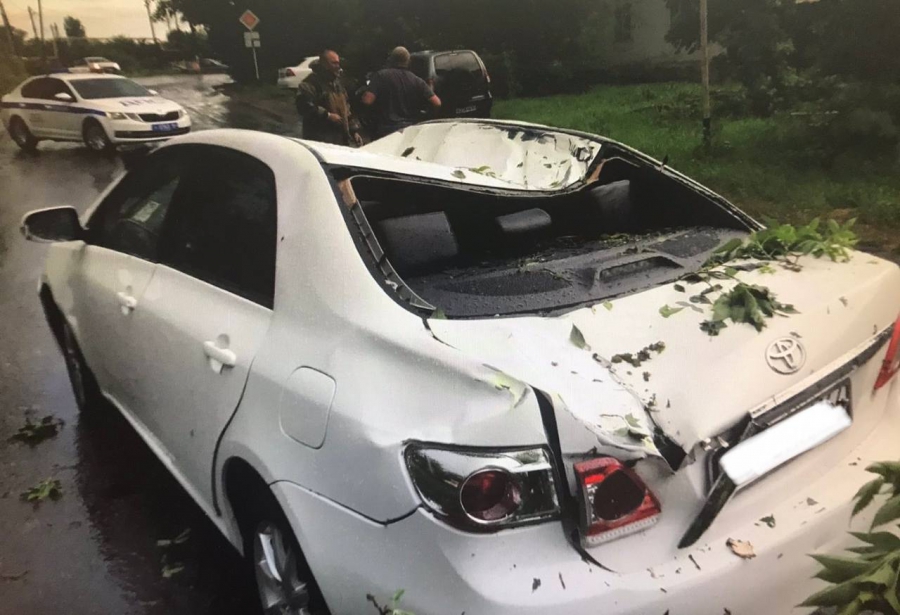 В Балашове пассажирку «Тойоты» госпитализировали из-за упавшего дерева