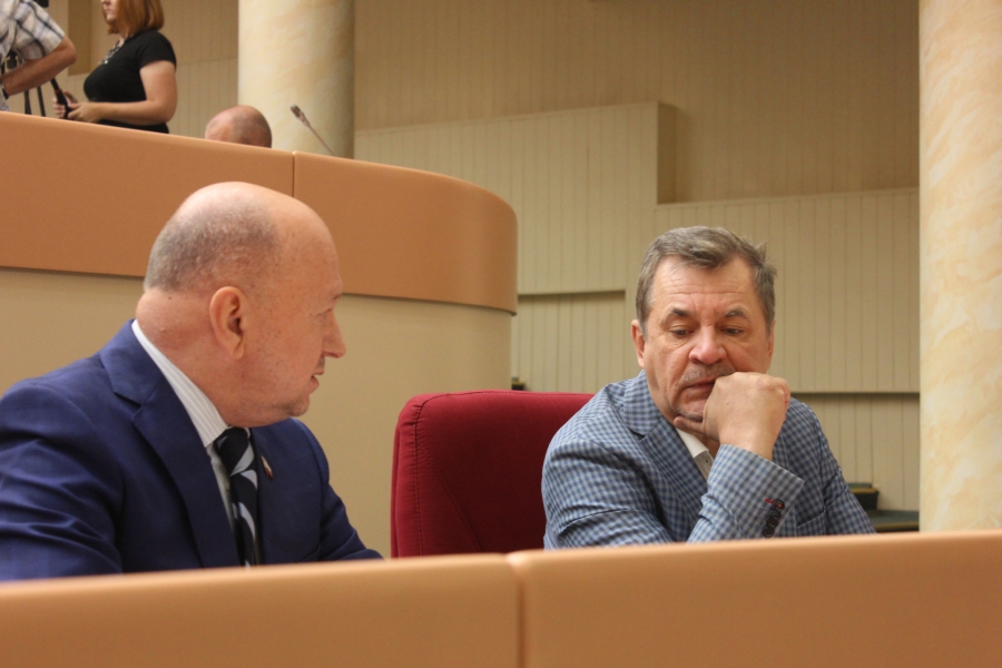 Депутаты согласовали уход Болякиной с поста зампреда Саратовской облдумы