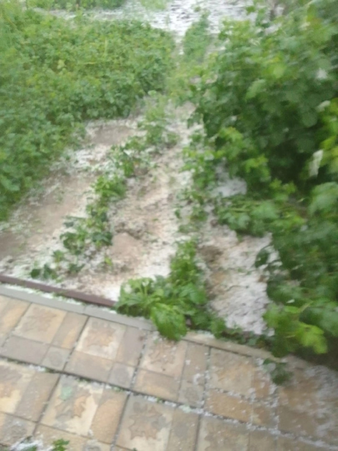 В Саратовской области град побил урожай дачников