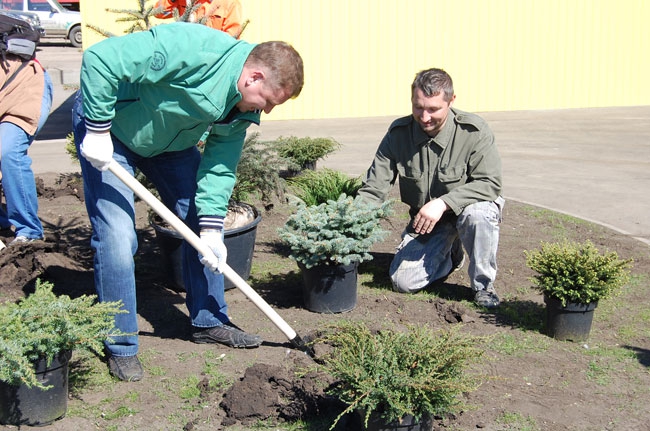В Саратове состоялась высадка деревьев на участке новой Набережной