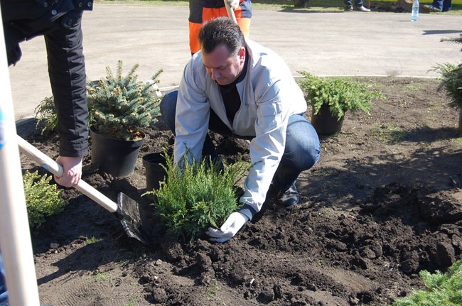 В Саратове состоялась высадка деревьев на участке новой Набережной