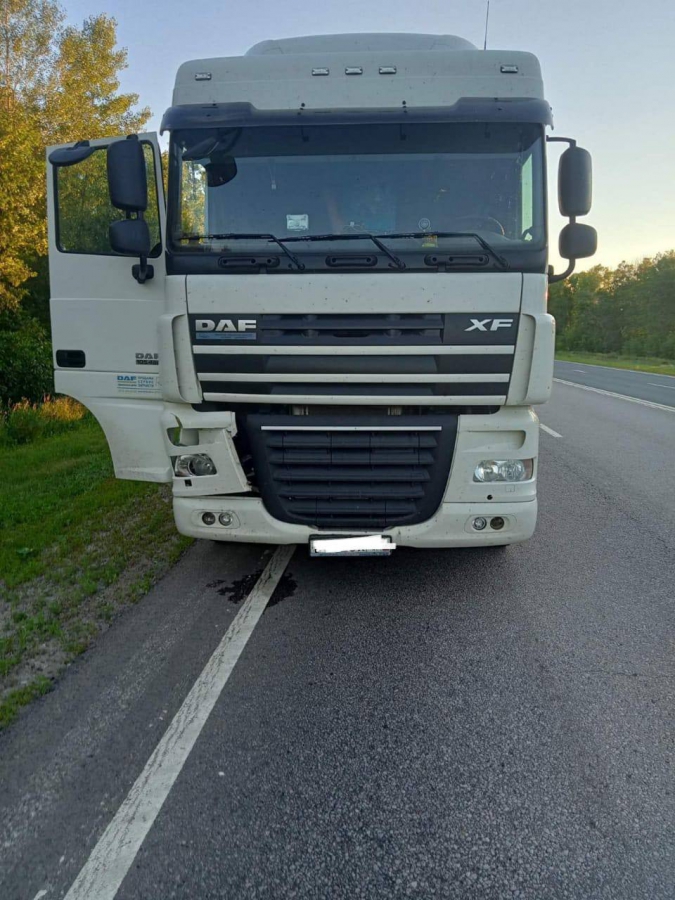 Под Балашовом фура насмерть задавила велосипедистку