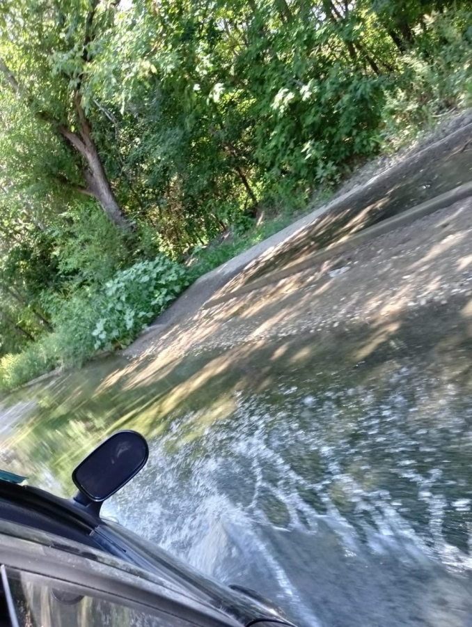 Жительница Комсомольского пожаловалась на зеленеющую от потопа дорогу