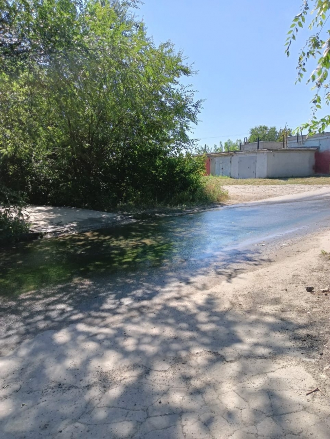 Жительница Комсомольского пожаловалась на зеленеющую от потопа дорогу