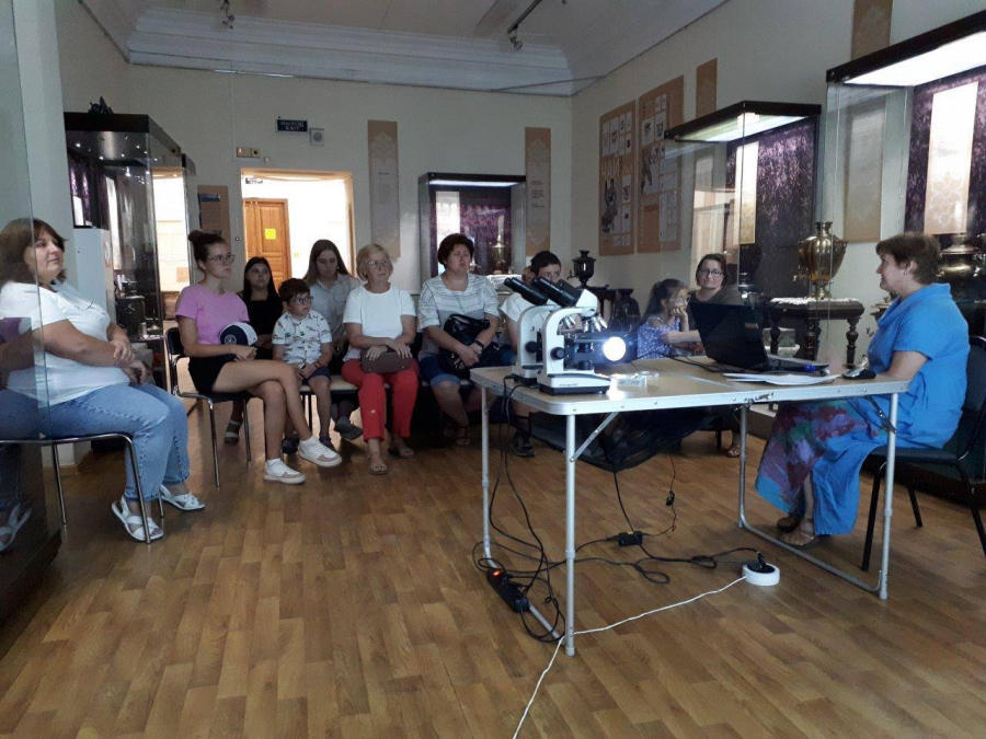 Саратовцам в музее рассказали о жизни пчел и производстве меда