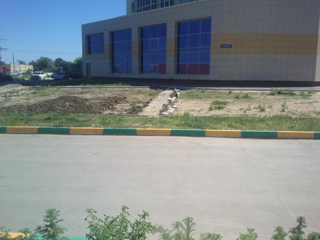 Саратовцы возмущены намерениями возвести парковку вместо детской площадки