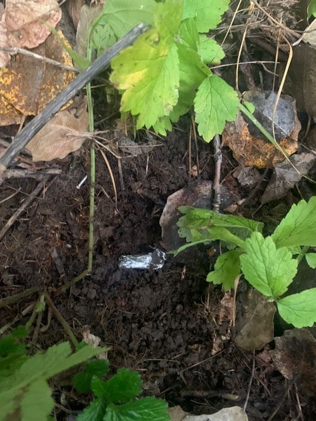 В Энгельсе задержаны две 22-летние закладчицы наркотиков