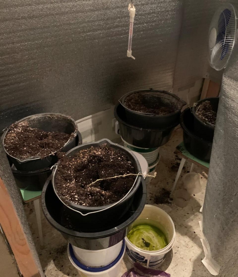 В Солнечном полицейские поймали торговца марихуаной