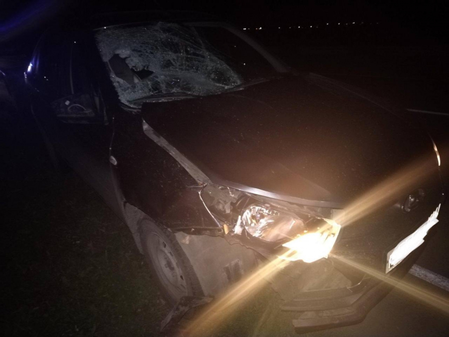 В Балашовском районе водитель сбил трех пешеходов