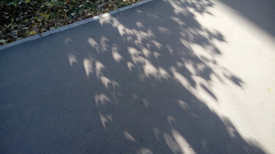 Саратовцы в соцсетях делятся снимками солнечного затмения