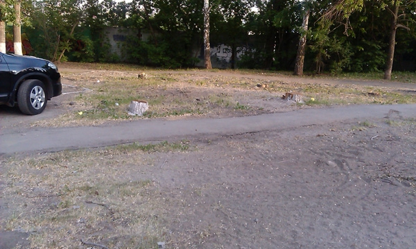 На месте вырубленного сквера по Шелковичной построят храм