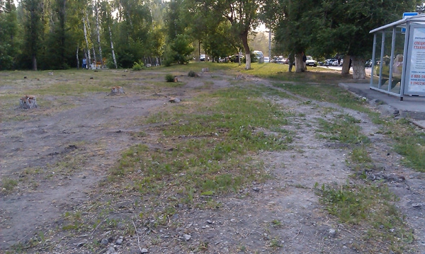 На месте вырубленного сквера по Шелковичной построят храм