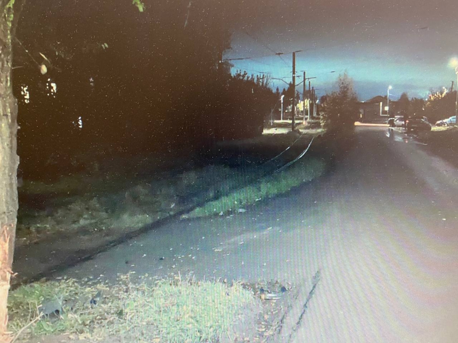 В Поливановке водитель врезался в дерево и бросил раненого пассажира