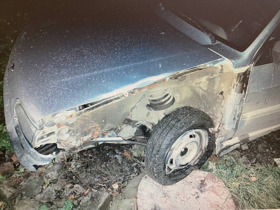 В Поливановке водитель врезался в дерево и бросил раненого пассажира