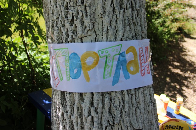 Около Крытого рынка запустили в небо шары с детскими желаниями