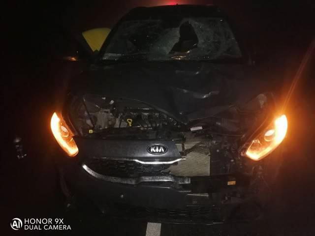 В Новоузенском районе неизвестный пешеход погиб под колесами «Киа»