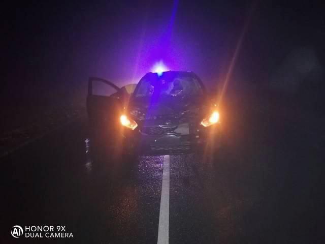 В Новоузенском районе неизвестный пешеход погиб под колесами «Киа»