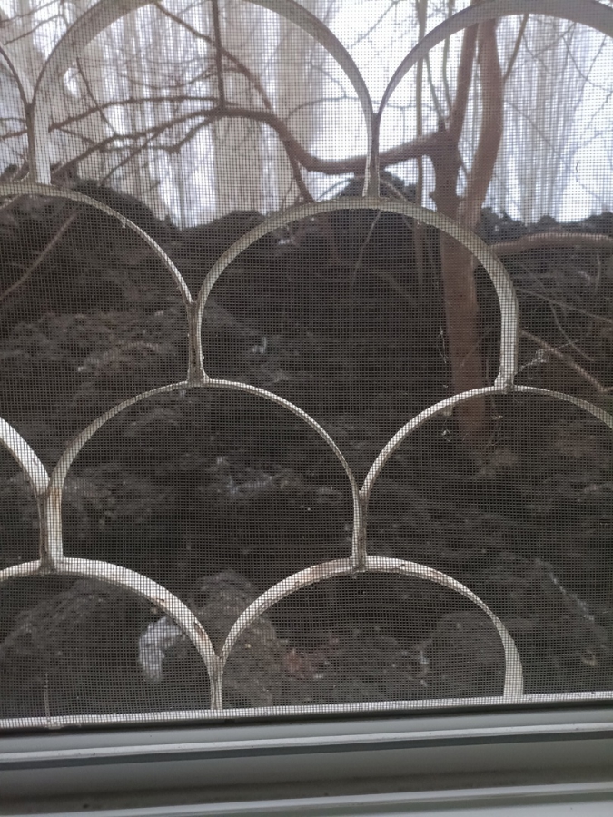 Жильцы дома на Огородной пожаловались на вырытую месяц назад «могилку»