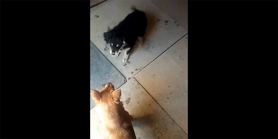 Мобилизованный саратовец прославился среди сослуживцев стихами о воинах в СВО