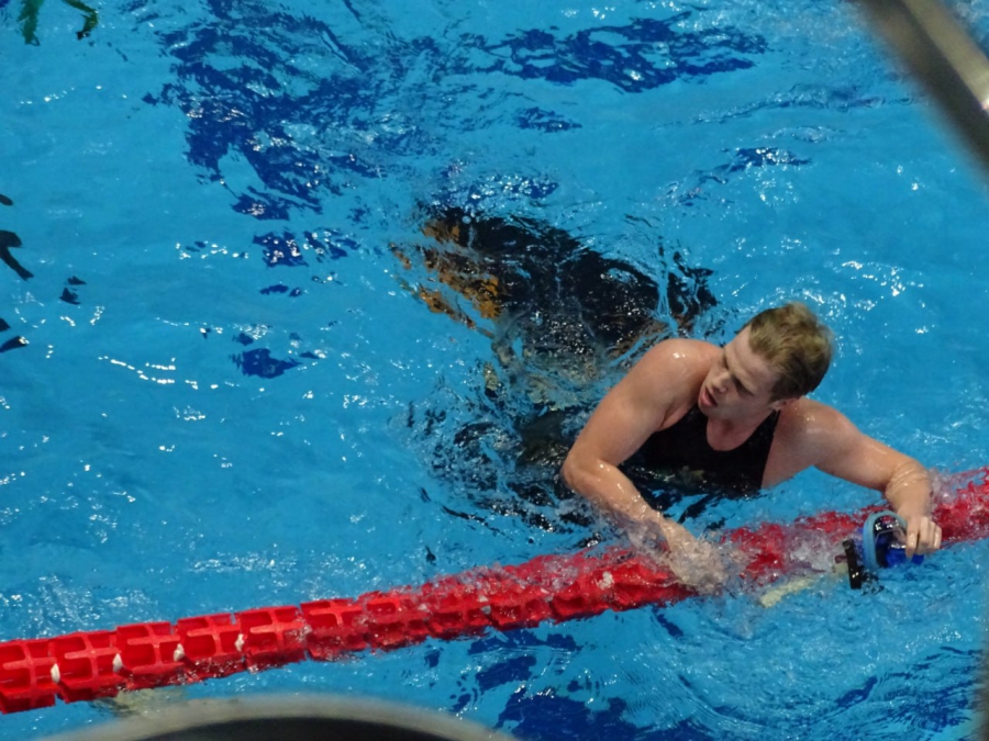 Балаковец получил золото на Кубке России по плаванию в Саратове