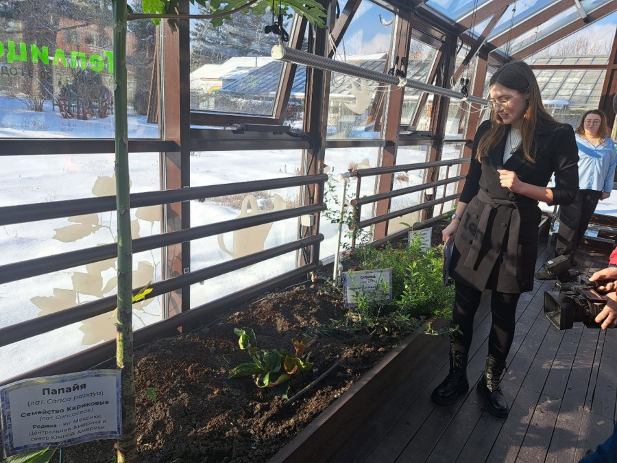 Саратовским журналистам показали растения-хищников и енота Еву