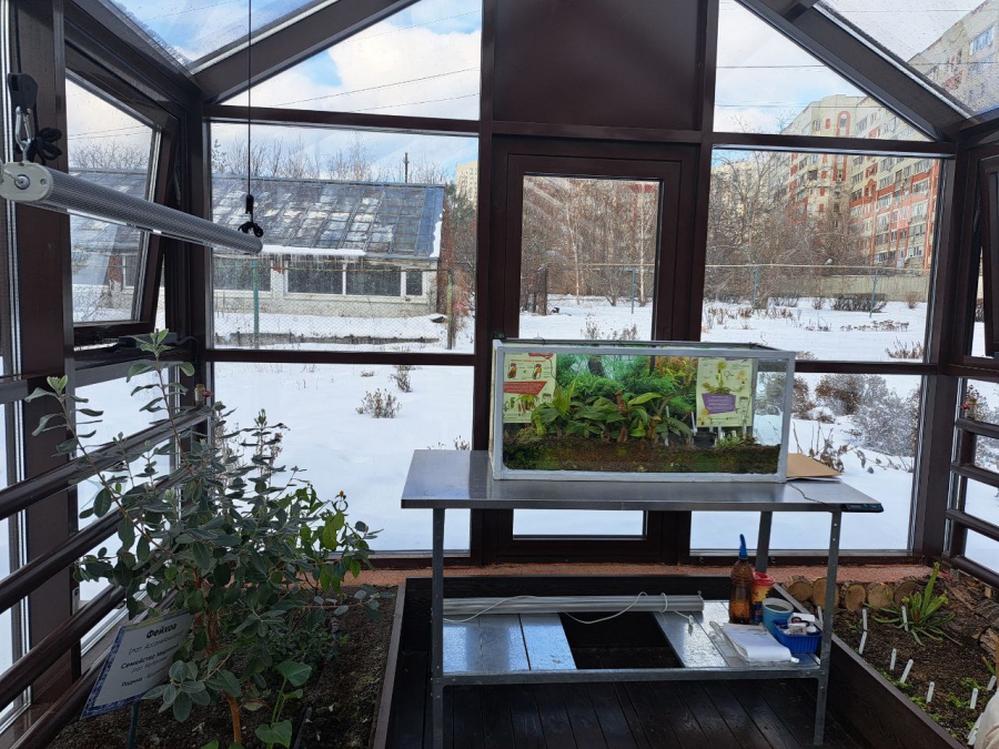 Саратовским журналистам показали растения-хищников и енота Еву