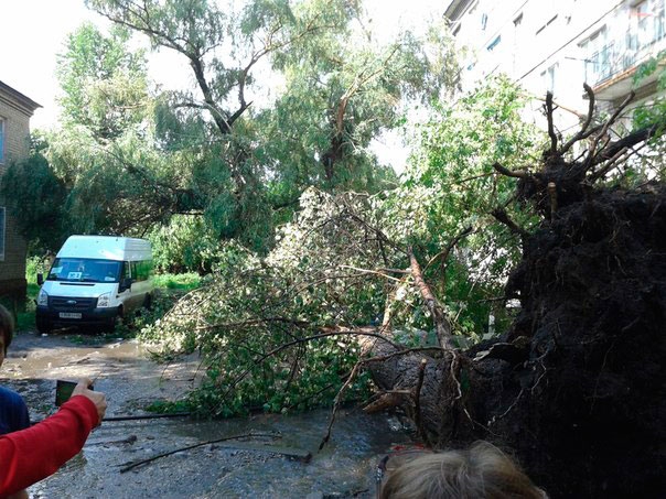 Шторм в Саратове. Деревья упали на машины, дороги и дома