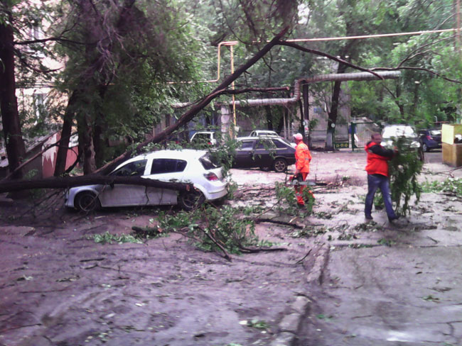 Шторм в Саратове. Деревья упали на машины, дороги и дома