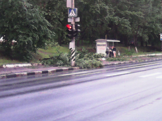 Шторм в Саратове. Деревья упали на машины, дороги и дома