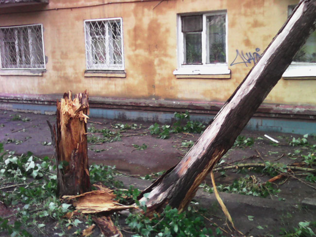 Шторм в Саратове. Деревья упали на машины, дороги и дома